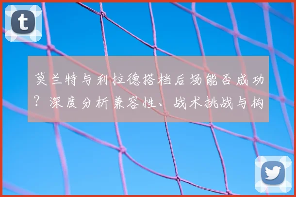 莫兰特与利拉德搭档后场能否成功？深度分析兼容性、战术挑战与构建思路