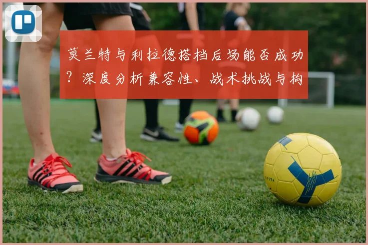 莫兰特与利拉德搭档后场能否成功?深度分析兼容性、战术挑战与构建思路